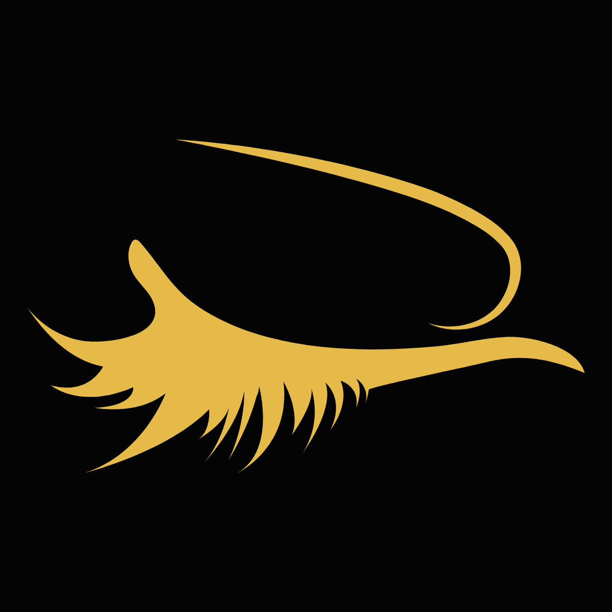 Imagem RS Five Star Studio